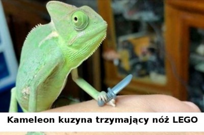 Ten kameleon potrafi idealnie pozować z klockami LEGO. Oto 9 najlepszych zdjęć