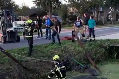 Wyciąganie konia z rowu po wypadku na drodze