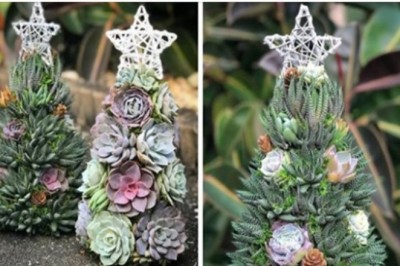 Te 30-centymetrowe choinki to idealna świąteczna ozdoba do niewielkich mieszkań