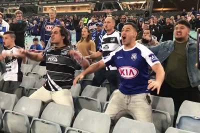 Codzienna porcja ciekawych i zabawnych filmików #211