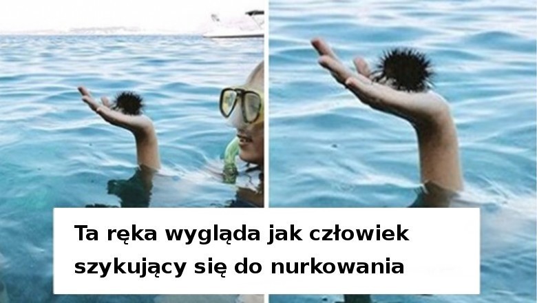20 zdjęć, które stają się coraz lepsze im dłużej się na nie patrzysz. Łatwo oszukać mózg
