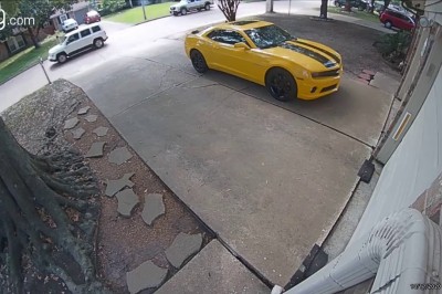 Gość chciał uciec przed psem, ale skończył o wiele gorzej 