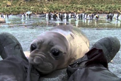 Codzienna porcja ciekawych i zabawnych filmików #226