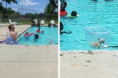 Te zdjęcia skrywają w sobie coś intrygującego. Trzeba wytężyć wzrok