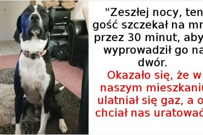 15 zwierząt, które zasługują na całe pudełko medali