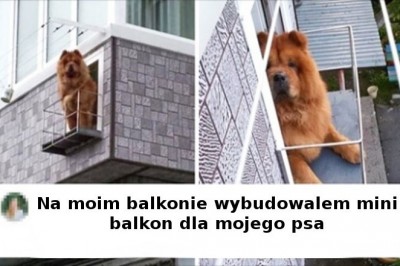 13 zdjęć pokazujących, że ludzka pomysłowość nie zna granic