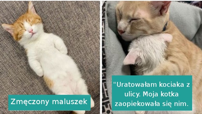 17 udowadniających, że zasnąć można w każdej pozycji