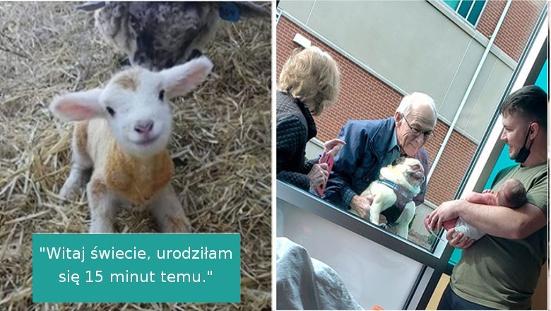 17 zdjęć, które podniosą cię na duchu i poprawią humor nawet w ciężkim dniu