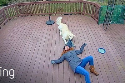 Codzienna porcja ciekawych i zabawnych filmików #286