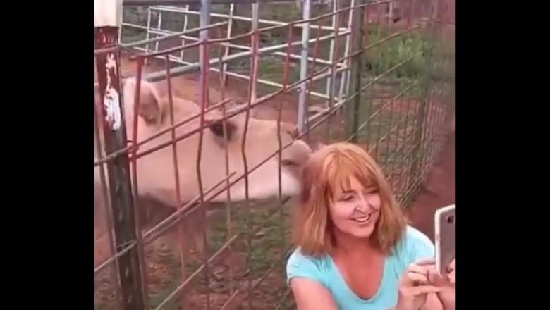Kiedy Twój selfiak z wielbłądem wychodzi lepiej niż zakładałaś