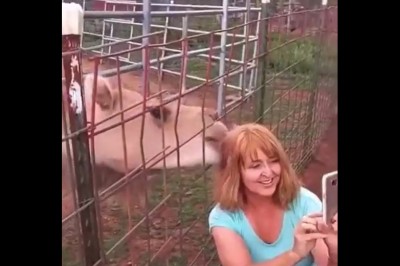 Kiedy Twój selfiak z wielbłądem wychodzi lepiej niż zakładałaś 