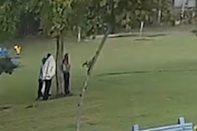 Dlaczego nie wolno stawać pod drzewem w czasie burzy. Ta czwórka Ci to wytłumaczy