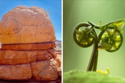 Niezwykłe zdjęcia przyrody pokazujące, że natura nie przestaje nas zaskakiwać