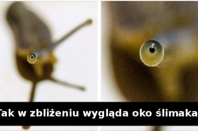 20 zdjęć, które pokazują świat z innej perspektywy niż podręczni szkolne