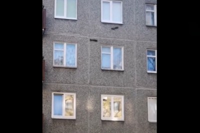 Wiewiórki biegające po ścianie bloku. Wygląda to surrealistycznie 