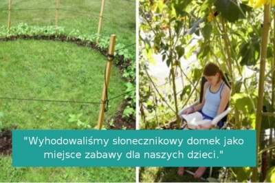 16 miłośników ogrodnictwa, którzy pochwalili się swoimi projektami