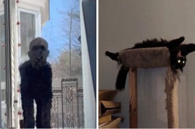 18 przerażających zwierząt, które niemal przyprawiły swoich właścicieli o zawał