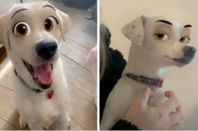 Ten niezwykły filtr sprawia, że twój pies wygląda jak z bajki Disneya