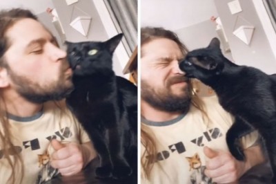 Postanowili sprawdzić reakcję swoich zwierzaków na niespodziewanego buziaka