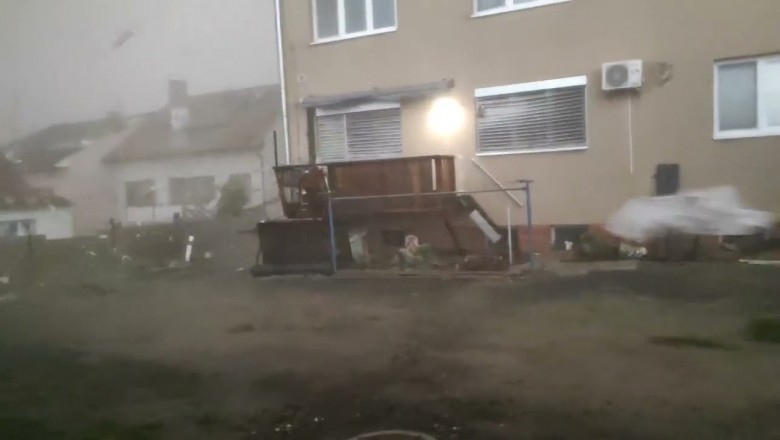 Pies kontra trąba powietrzna w Czechach. Miał sporo szczęścia