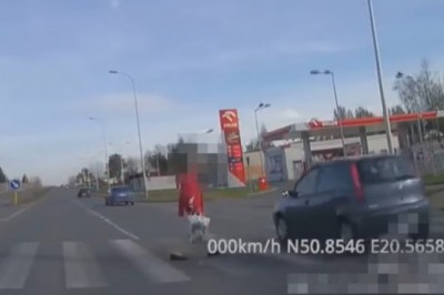 Pieszy kontra piraci drogowi na przejściu dla pieszych - Katowice