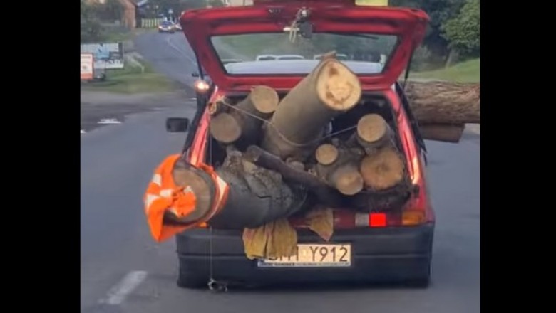 Załadował drzewo do osobówki. Gość rozwalił system