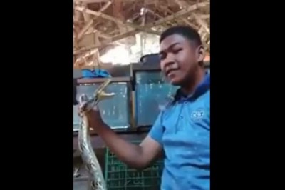 Młody cwaniak chciał się popisać zabawą z wężem. Szybko pożałował 