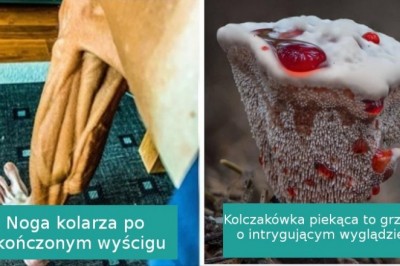 20 zdjęć pokazujących, że świat pewnie nigdy nie przestanie nas zaskakiwać