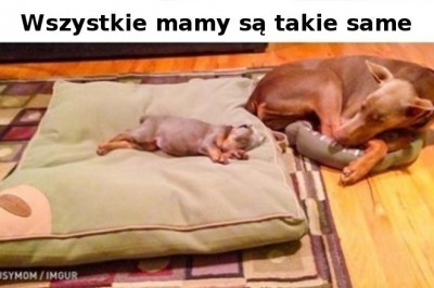 20 wzruszających fotografii, które chwycą za serce nawet największych twardzieli