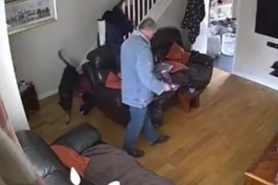 Gdyby nie monitoring to nikt by nie uwierzył w to co zrobił ten pies