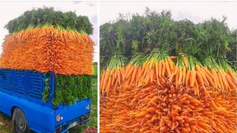20 niezwykle satysfakcjonujących fotografii. Zadowolą wszystkich perfekcjonistów