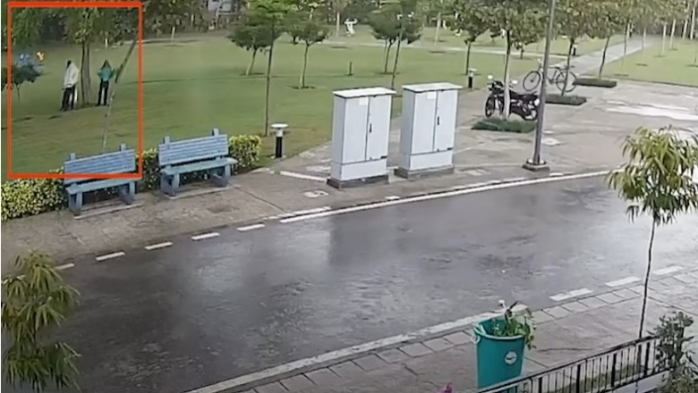 Oto dlaczego nie wolno stawać pod drzewem w czasie burzy