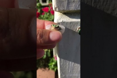 Codzienna porcja ciekawych i zabawnych filmików #353