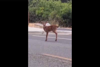 Kiedy zobaczysz, że jesteś filmowania i chcesz jak najlepiej wypaść