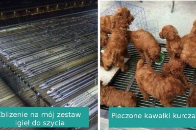 18 zdjęć z mylącym opisem, które kompletnie zmienią to, co zobaczysz