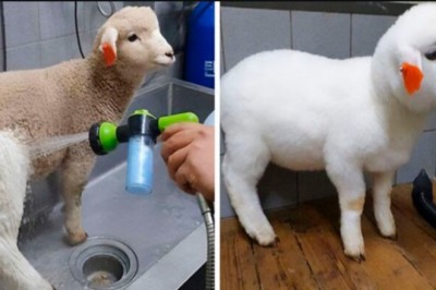 19 zdjęć przed i po, pokazujących imponujące przemiany