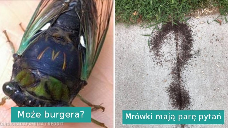 Ci ludzie doświadczyli czegoś, co ciężko wytłumaczyć. Gdy natura mówi, że czas coś zjeść