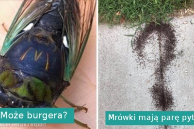 Ci ludzie doświadczyli czegoś, co ciężko wytłumaczyć. Gdy natura mówi, że czas coś zjeść