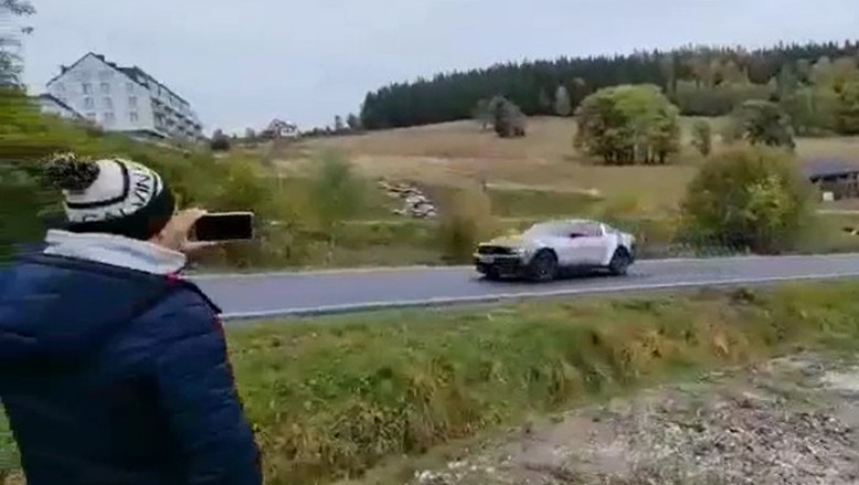 Ziomek ma kupę śmiechu podczas kasowania Mustanga na drzewie