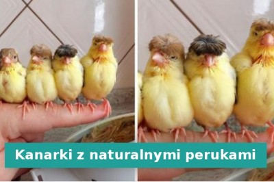 15 zdjęć pokazujących dzieła sztuki stworzone przez matkę naturę