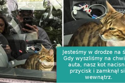 17 zwierząt, które pokazały swoją wredną stronę