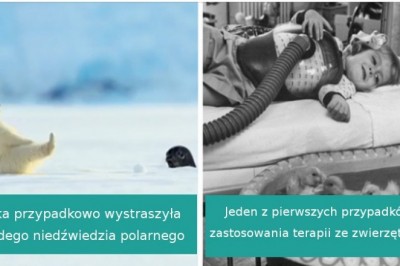 18 uroczych maluchów ze świata zwierząt, których słodycz poprawia nastrój 