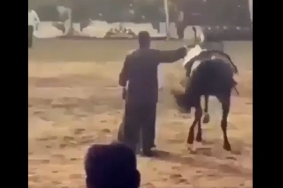 Nic dziwniejszego dzisiaj nie zobaczysz. Idealny podkład do filmiku 