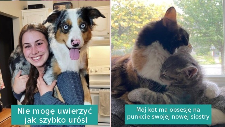 14 zdjęć, z których aż wylewa się słodycz. Te zwierzaki poprawią humor każdemu