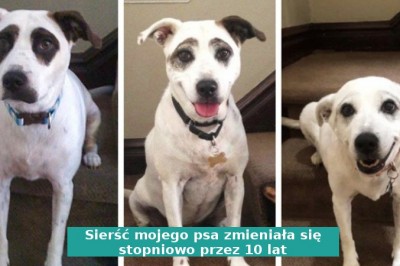 Ci ludzie podzielili się zdjęciami, za którymi kryje się coś więcej niż mogłoby się wydawać