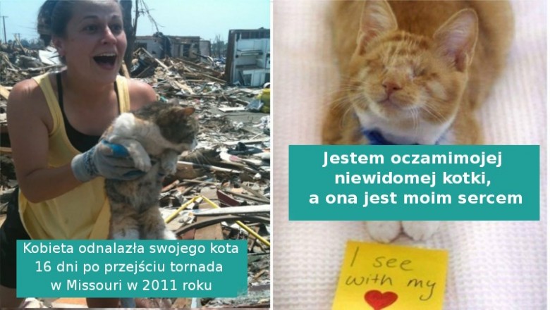 17 zdjęć uroczych kociaków, które są prawdziwymi skarbami dla właścicieli