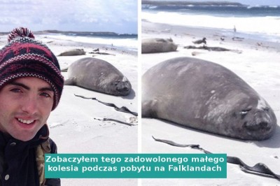 16 osób, które zobaczyły coś nietypowego, co kompletnie odmieniło ich dzień