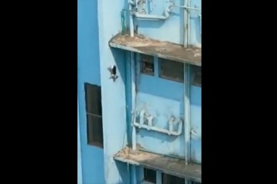 O kocie, który za jednym razem wykorzystał swoje pięć żyć 