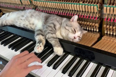 Codzienna porcja ciekawych i zabawnych filmików #433