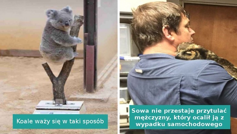 Ta galeria pozytywnych zdjęć poprawi humor nawet w ciężki dzień